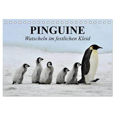 Abbildung von Pinguine Watscheln im festlichen Kleid (Tischkalender 2025 DIN A5 quer), CALVENDO Monatskalender