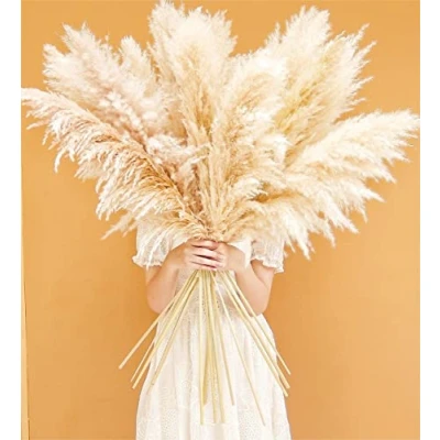 Abbildung von Bannifll 10 Stück Pampas Grass XXL Groß Deko für Boho Wohnzimmer, Tisch, Schlafzimmer, Hochzeit, Badezimmer (115cm)