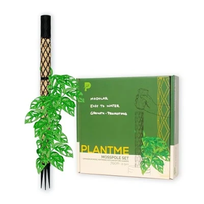 Abbildung von PlantMe Moosstab Midi Set Rankhilfe Zimmerpflanze Rankhilfen für Kletterpflanzen, Efeutute, Moosstab, Pflanzenstütze, Moss Pole, Kletterhilfe Zimmerpflanzen, Philodendron (schwarz, 70cm)