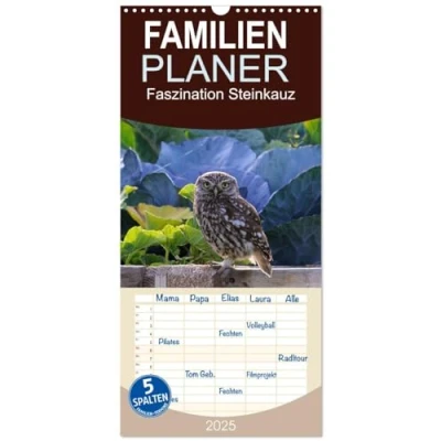 Abbildung von Familienplaner 2025 Faszination Steinkauz mit 5 Spalten (Wandkalender, 21 cm x 45 cm), CALVENDO