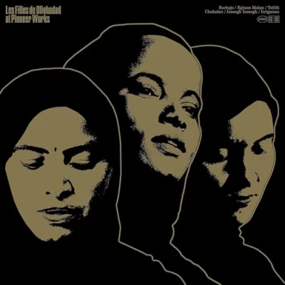 Abbildung von At Pioneer Works [Vinyl LP]