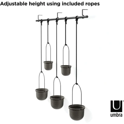 Abbildung von Umbra Triflora Vase, Hängeblumentopf, Wandvase, Blumenampel für Wand und Deckenanbringung, 5er Set, Schwarz