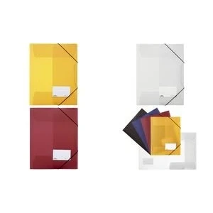 Abbildung von DURABLE Organisationsmappe, DIN A4, bis 200 Blatt, mit Beschriftungsfenster