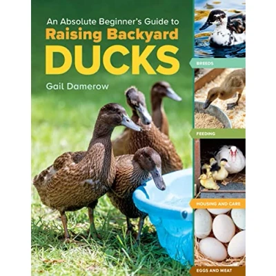 Abbildung von An Absolute Beginner&#039;s Guide to Raising Backyard Ducks: Breeds, Feeding, Housing and Care, Eggs Meat