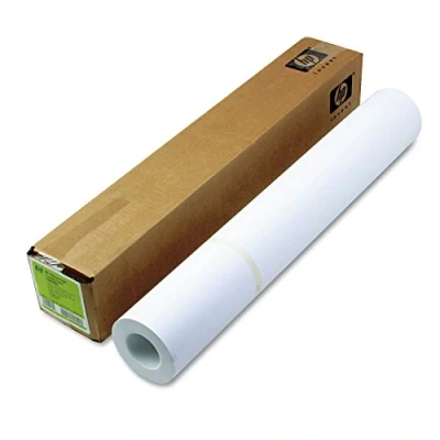 Abbildung von HP C6029C Großformat