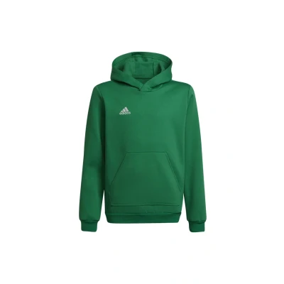 Abbildung von adidas Performance Entrada Unisex Kapuzenpullover für Kinder, Größe: 128, Team green/white