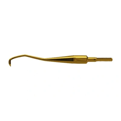 Abbildung von American Eagle XP Scaler Quik Tip Talon , anterior