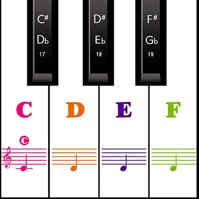 Abbildung von Klavier Keyboard Aufkleber für 54/61 / 76/88 Tasten Noten Piano Sticker weiße &amp; schwarze Transparent und abnehmbar (Voll Farbe)