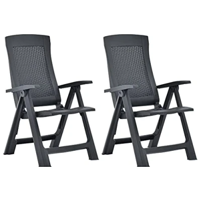 Abbildung von vidaXL 2X Gartenstuhl Verstellbar Stuhl Klappsessel Klappstuhl Campingstuhl Hochlehner Stühle Gartenstühle Gartenmöbel Kunststoff Anthrazit