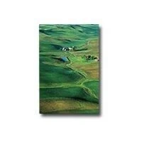 Abbildung von Epson Premium Seidenmattfotopapier A3 (297 x 420 mm) 251 g/m2 20 Blatt für Stylus Pro 11880, 3880, 48X