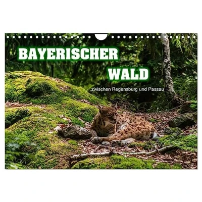 Abbildung von Bayerischer Wald (Wandkalender 2025 DIN A4 quer), CALVENDO Monatskalender
