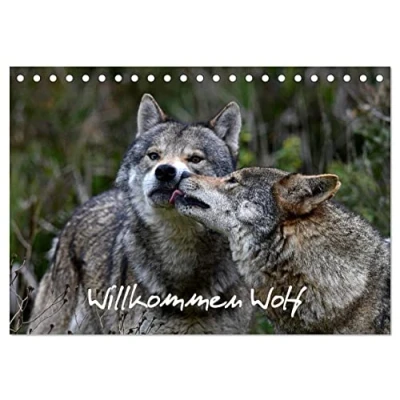 Abbildung von Willkommen Wolf (Tischkalender 2025 DIN A5 quer), CALVENDO Monatskalender