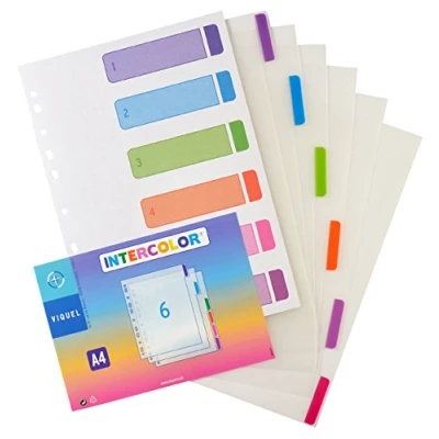 Abbildung von Viquel 6 Trennblätter aus Polypropylen A4 intercolor