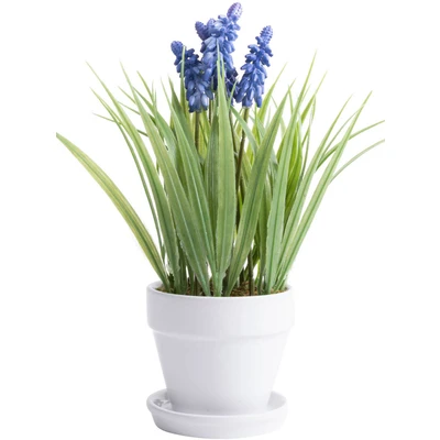 Abbildung von Botanic Haus Kunstblume &quot;Muskari getopft&quot;
