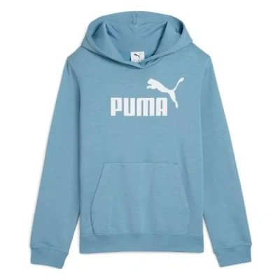 Abbildung von PUMA Kapuzensweatshirt &quot;ESS NO. 1 LOGO HOODIE FL G&quot;