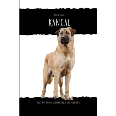 Abbildung von Kangal: alles über Auswahl, Haltung, Pflege und vieles mehr...
