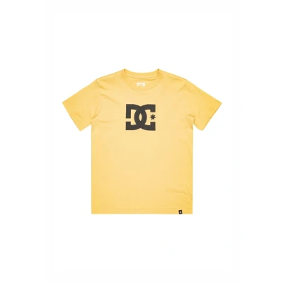 Abbildung von DC Shoes STAR Tshirt print für Kinder, Größe: 146/152, Xyyb rattan