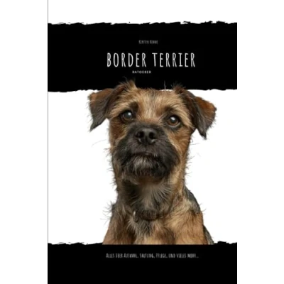 Abbildung von Border Terrier: alles über Auswahl, haltung, Pflege und vieles mehr...
