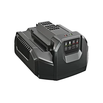 Abbildung von EGO Power+ CH2100 56 Volt Lithium Ionen Standard Ladegerät für Geräte