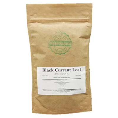Abbildung von Herba Organica Schwarze Johannisbeere Blatt Ribes Nigrum L Black Currant Leaf Ribisel (100g)