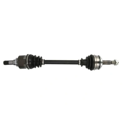 Abbildung von Antriebswelle PASCAL G22006PC