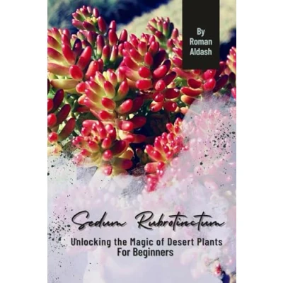Abbildung von Sedum Rubrotinctum: Unlocking the Magic of Desert Plants, For Beginners