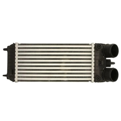 Abbildung von THERMOTEC DAP007TT Ladeluftkühler PEUGEOT: 207 CC, Schrägheck, SW, NISSAN: Patrol GR 5 SUV