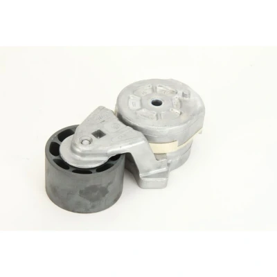 Abbildung von DAYCO APV2454 Riemenspanner RENAULT TRUCKS: Magnum