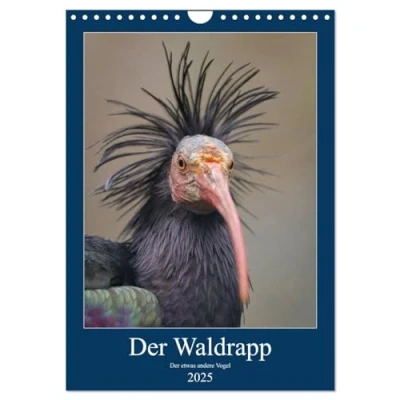 Abbildung von Der Waldrapp etwas andere Vogel (Wandkalender 2025 DIN A4 hoch), CALVENDO Monatskalender