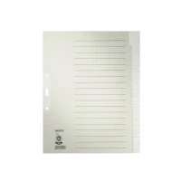 Abbildung von Leitz Register A4 blanko 100g/qm 20 teilig grau