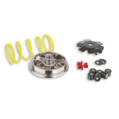 Abbildung von MALOSSI Variator Multivar, für Aprilia 50 Habana/Custom//Mojito/Suzuki Estilete/UF/Katana (&#039;99 )/Zillion, Morini 2T AC/LC 16x13mm, 6 Rollen, 8,0g
