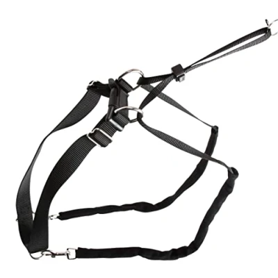 Abbildung von Kerbl MAXI LEADER Erziehungsgeschirr Schwarz 25 30cm