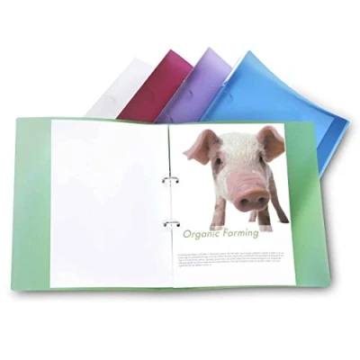 Abbildung von Rapesco 1044 ECO 25mm 2 Ringordner, 40mm Rücken, A4, Sortierte Farben, 10 Stück