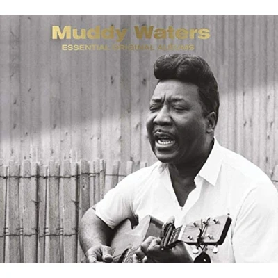 Abbildung von Essential Original Albums