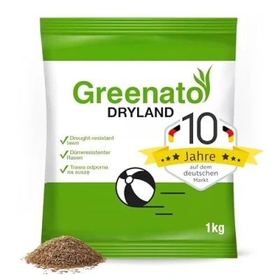 Abbildung von Greenato Rasensamen Dryland dürreresistenter Trockenrasen, 1 kg, Grassamen schnellkeimend Frühjahr und Herbst