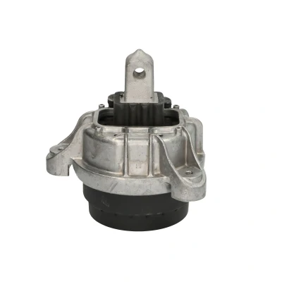 Abbildung von DELPHI TEM253 Motorlager hinten BMW: 5 Touring, Limousine, GT