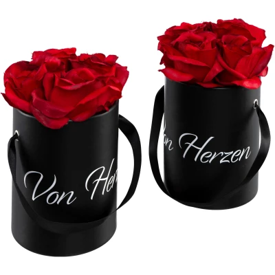 Abbildung von Creativ green Kunstblume &quot;Rosen in Box&quot;