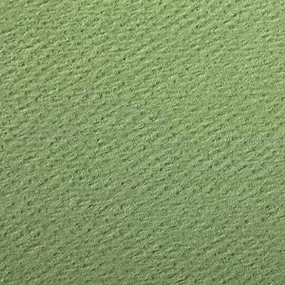 Abbildung von Clairefontaine 93796C Packung (mit 24 Bögen Zeichenpapier Etival Color, 50 x 65cm, 160g, gekörnt, ideal für Trockentechnik und Einrahmen) apfelgrün