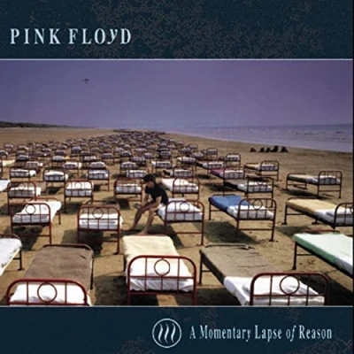 Abbildung von A Momentary Lapse of Reason