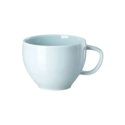 Abbildung von Rosenthal Junto Opal Green Kombi Obertasse 0,28 l