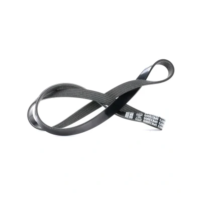 Abbildung von DAYCO 5PK1200 Keilrippenriemen 1200,0 5 OPEL: Corsa D Schrägheck, Insignia A Sports Tourer, Astra J RENAULT: MEGANE 2, CLIO 3