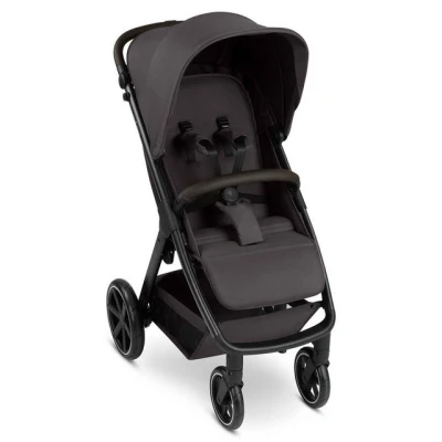Abbildung von ABC Design Sportbuggy Avus 2, Farbe: Falcon