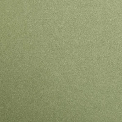 Abbildung von Clairefontaine 48070C Packung (mit 25 Bögen Zeichenpapier Maya, DIN A3, 29,7 x 42 cm, 270g, glatt, ideal für Trockentechnik und Einrahmen) laubgrün, Khaki