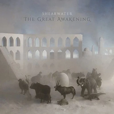 Abbildung von The Great Awakening [Vinyl LP]