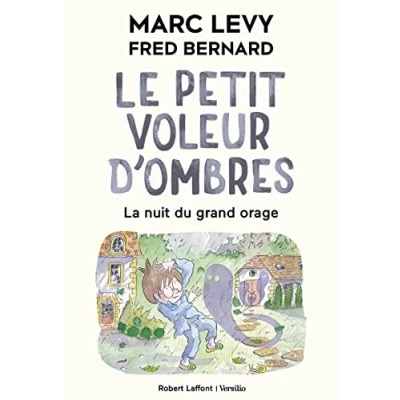 Abbildung von Le Petit Voleur d&#039;ombres Tome 6 La Nuit du grand orage