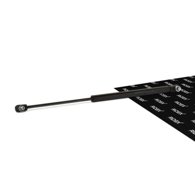 Abbildung von RIDEX 514G0097 Motorhaubendämpfer 300 TOYOTA: Land Cruiser Prado 120
