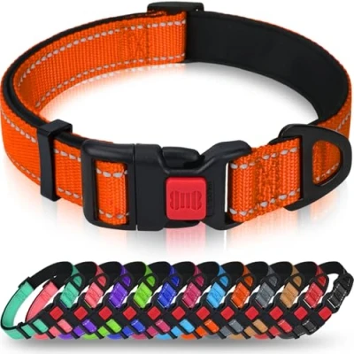 Abbildung von Taglory Hundehalsband, Weich Gepolstertes Neopren Nylon Hunde Halsband für Kleine Hunde, Verstellbare und Reflektierend das Training, Orange