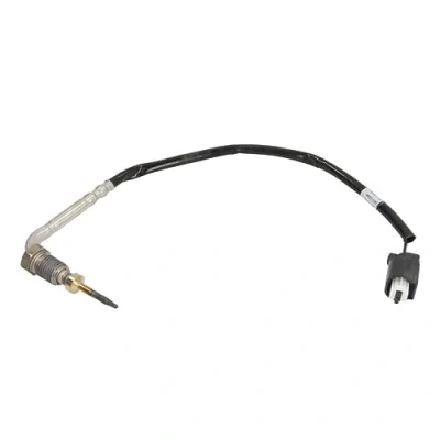 Abbildung von DENSO DET 0109 Sensor, Abgastemperatur BMW: X5