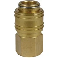 Abbildung von Original Einhell Schnellkupplung R 1/4 Zoll IG (Kompressor Zubehör, Innengewinde, aus robustem Messing, für Druckluftschläuche)