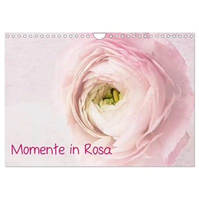 Abbildung von Momente in Rosa (Wandkalender 2025 DIN A4 quer), CALVENDO Monatskalender